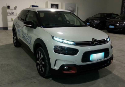 CITROEN C4 Cactus PureTech 110 S&S Feel Pearl White Km 0