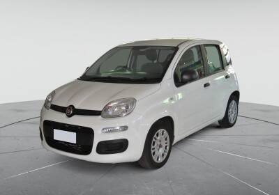 Fiat Panda 1.0 FireFly S&S Hybrid 5p.ti Bianco Gelato Usato Garantito