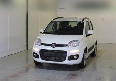 FIAT Panda 1.2 Lounge Bianco Gelato Usato Garantito
