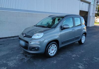 FIAT Panda 1.2 Lounge Grigio Maestro Usato Garantito