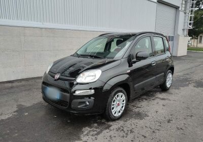 FIAT Panda 1.2 Lounge Nero Cinema Usato Garantito