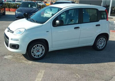 FIAT Panda van 1.2 Easy 69cv 4p.ti E6d-temp Bianco Gelato Km 0