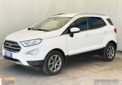 Ford EcoSport 1.0 EcoBoost 100CV Titanium Frozen White Usato Garantito