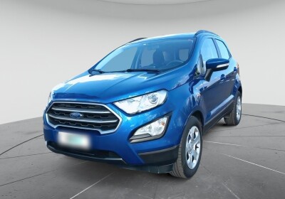 Ford EcoSport 1.5 ecoblue Business s&s 100cv Blue Lightning Usato Garantito