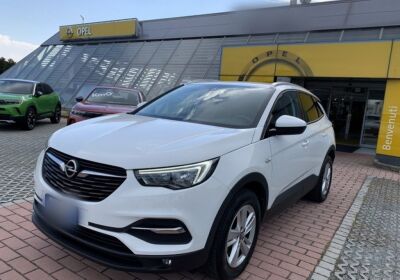 Opel Grandland X 1.6 ecotec Advance s&s 120cv White Jade Usato Garantito