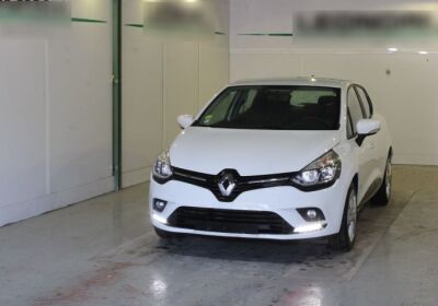 RENAULT Clio dCi 8V 75 CV 5 porte Business Bianco Ghiaccio Usato Garantito
