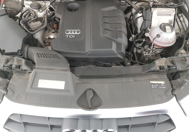 Audi Q5 40 TDI quattro S tronic Business Bianco Ibis Usato Garantito CV0CTVC-image-11