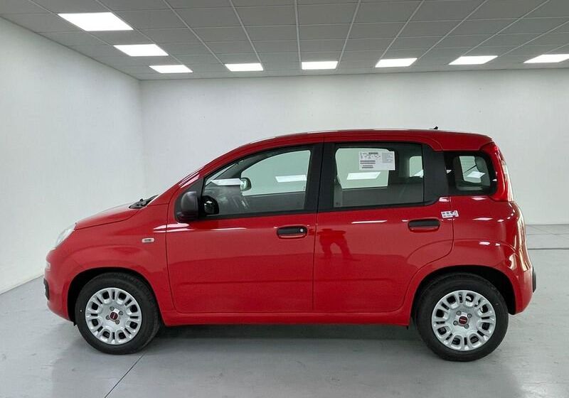 Fiat Panda 1.0 FireFly S&S Hybrid 5p.ti Rosso Amore Km 0 3R0CSR3-image-08