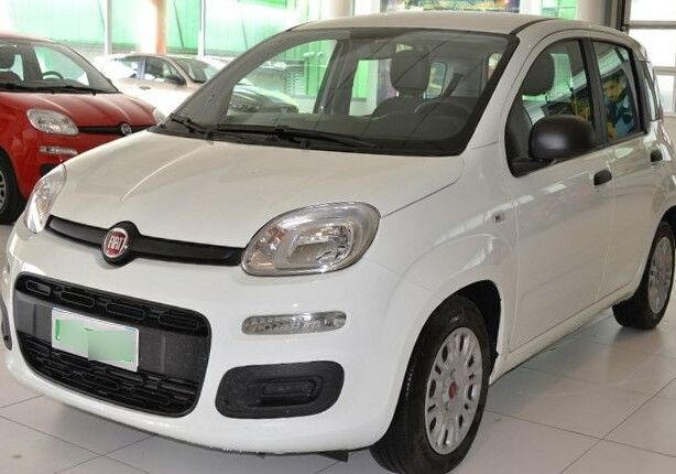 FIAT Panda 1.0 hybrid Easy s&s 70cv Bianco Gelato Usato Garantito SR0CMRS-fiat1_censored