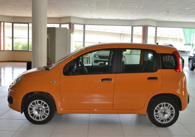 Fiat Panda 1.2 Easy Arancio Sicilia Usato Garantito MX0C9XM-b