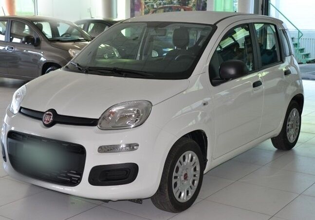 FIAT Panda 1.2 Easy Bianco Gelato Usato Garantito N90CL9N-a-v2