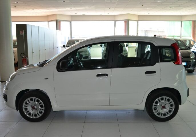 FIAT Panda 1.2 Easy Bianco Gelato Usato Garantito N90CL9N-b