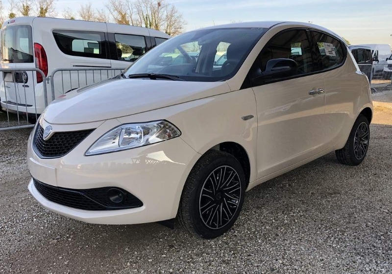 lancia y avorio chic gold lancia y avorio chic gold